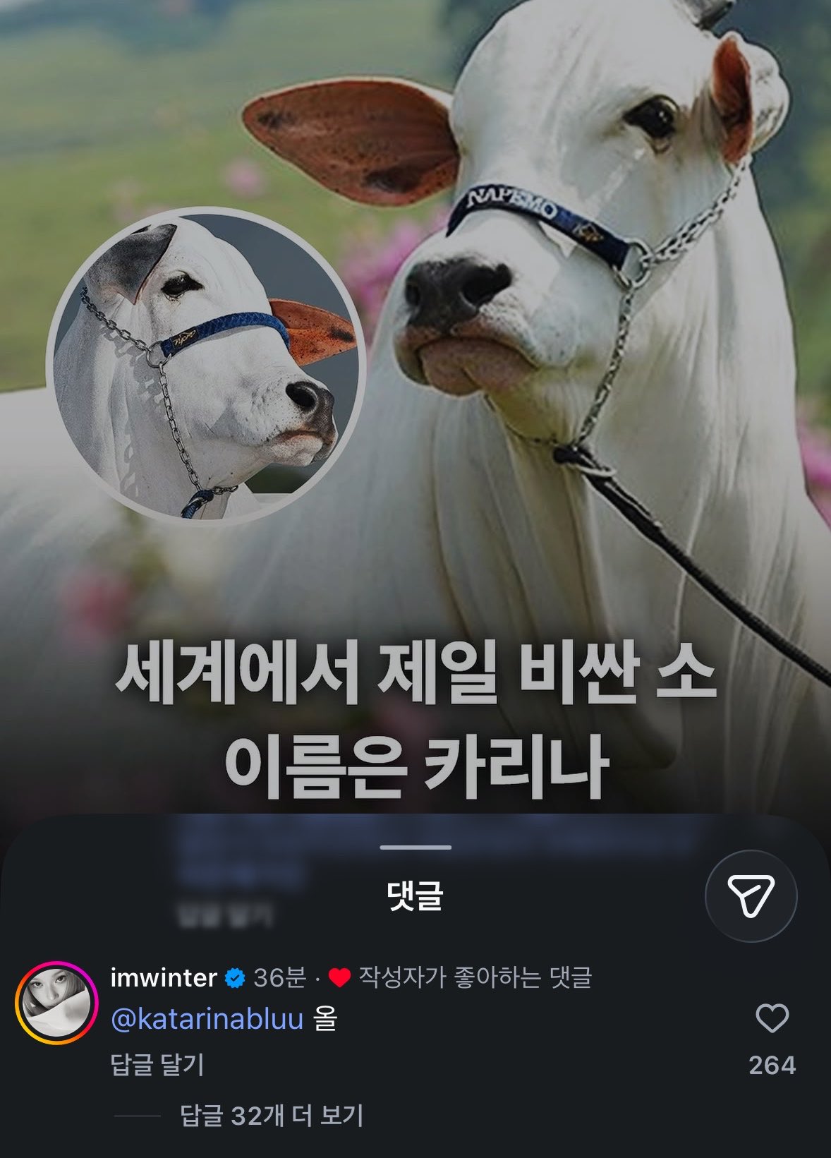 [잡담] 윈터 이런거에 댓글 달고다니는거 너무 웃곀ㅋㅋㅋㅋㅋㅋㅋㅋ | 인스티즈