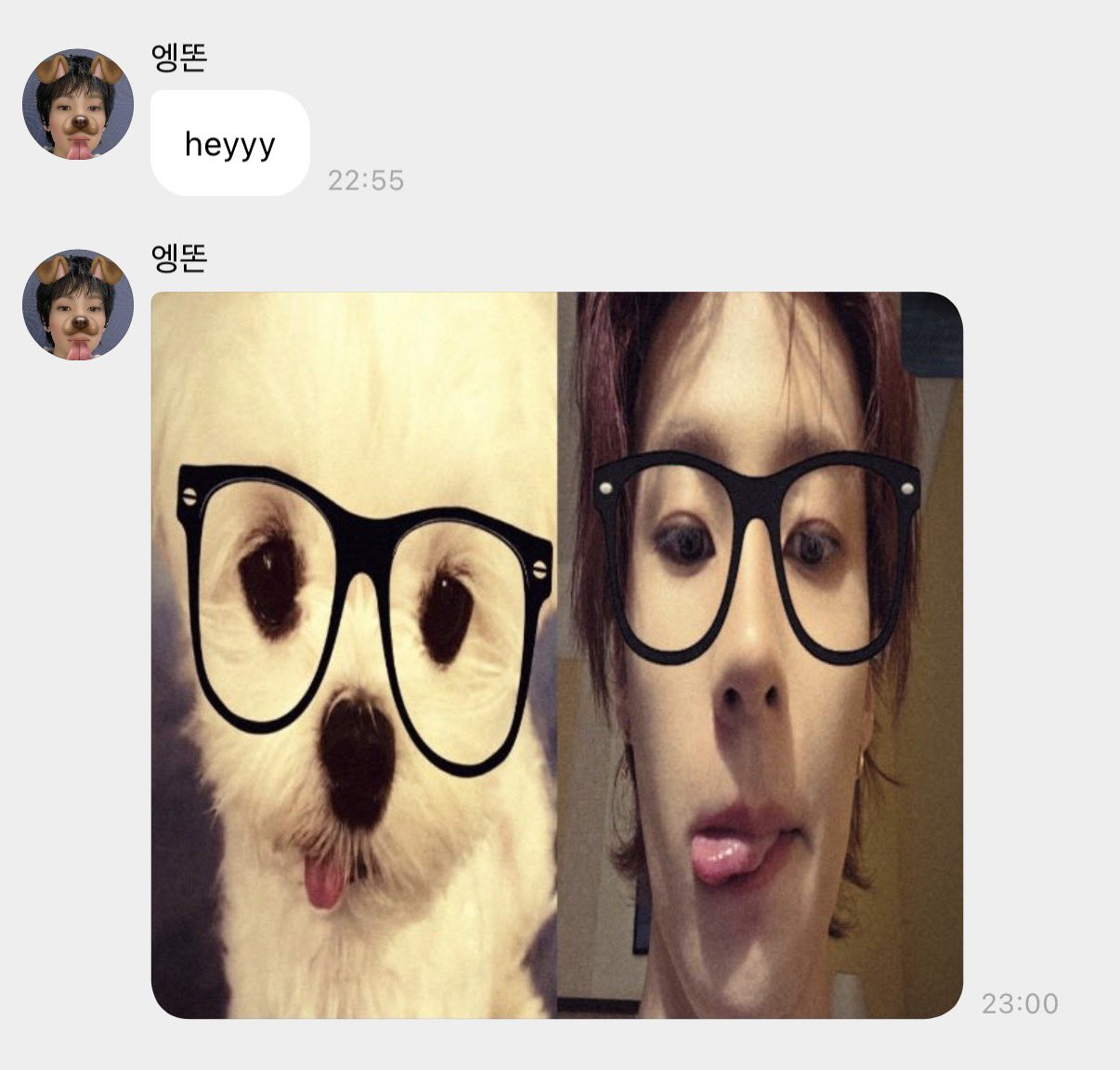 [잡담] 앤톤 진짜 강아지인가 | 인스티즈