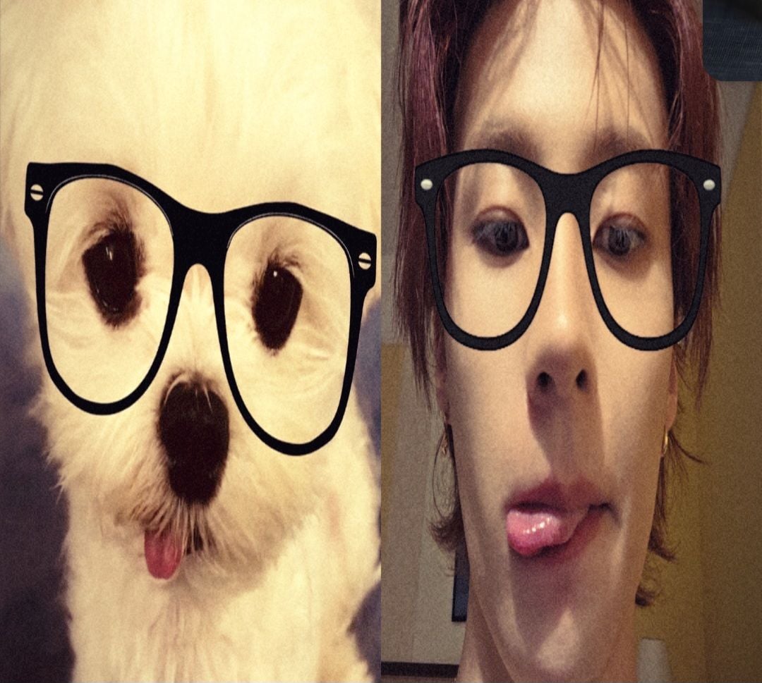 [잡담] 앤톤 진짜 강아지인가 | 인스티즈