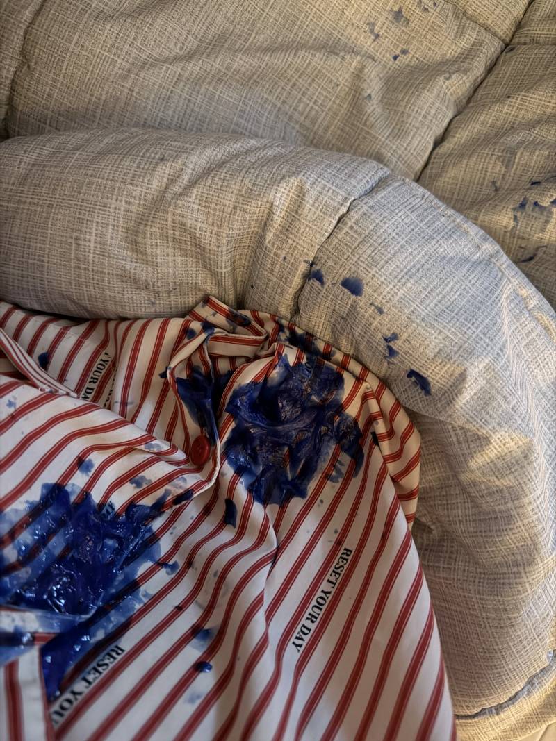[잡담] 너넨.... 말랑이 만지다 잠들지마라..... | 인스티즈