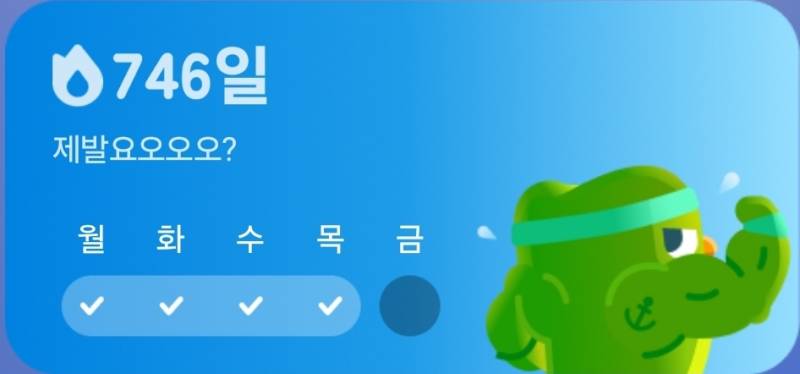 [잡담] 나 듀오링고 오래했지 | 인스티즈