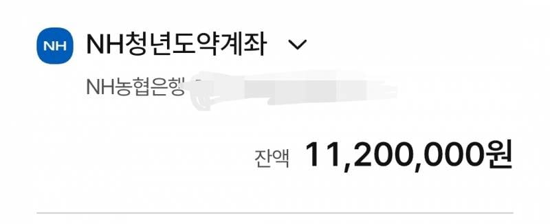 [잡담] 24살 아이돌 덕질하고 할거 다 하면서 1년간 천만원 모음 | 인스티즈