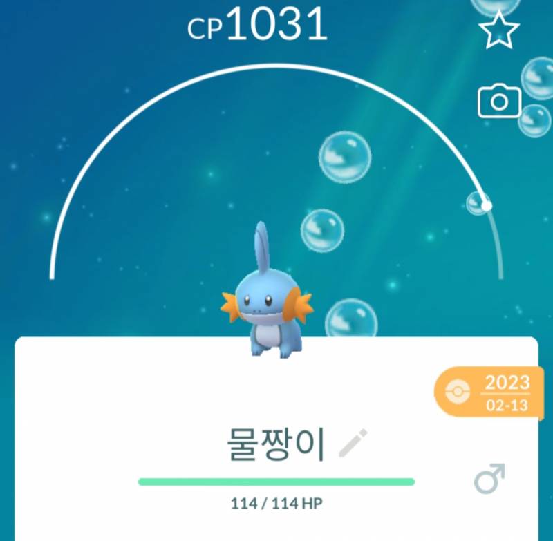 [잡담] 작은 물짱이 진짜 개귀여운거 알아? | 인스티즈