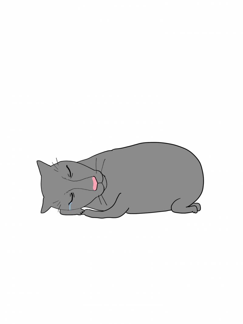 [잡담] 나 솔직히 말하자면 롱안부영철이 좋아함 | 인스티즈