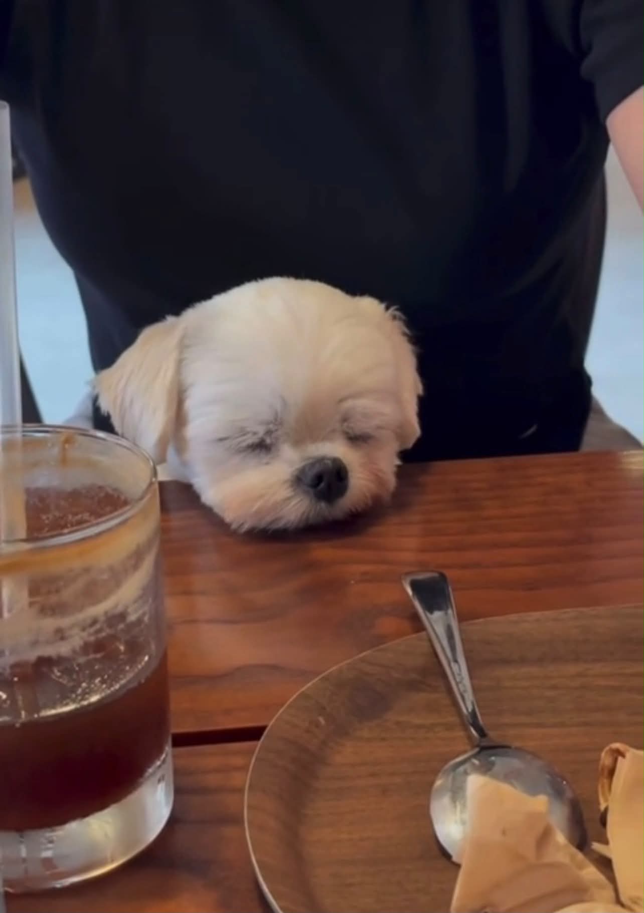 [잡담] 아 진짜 개귀여워 진심!진심!진심! | 인스티즈