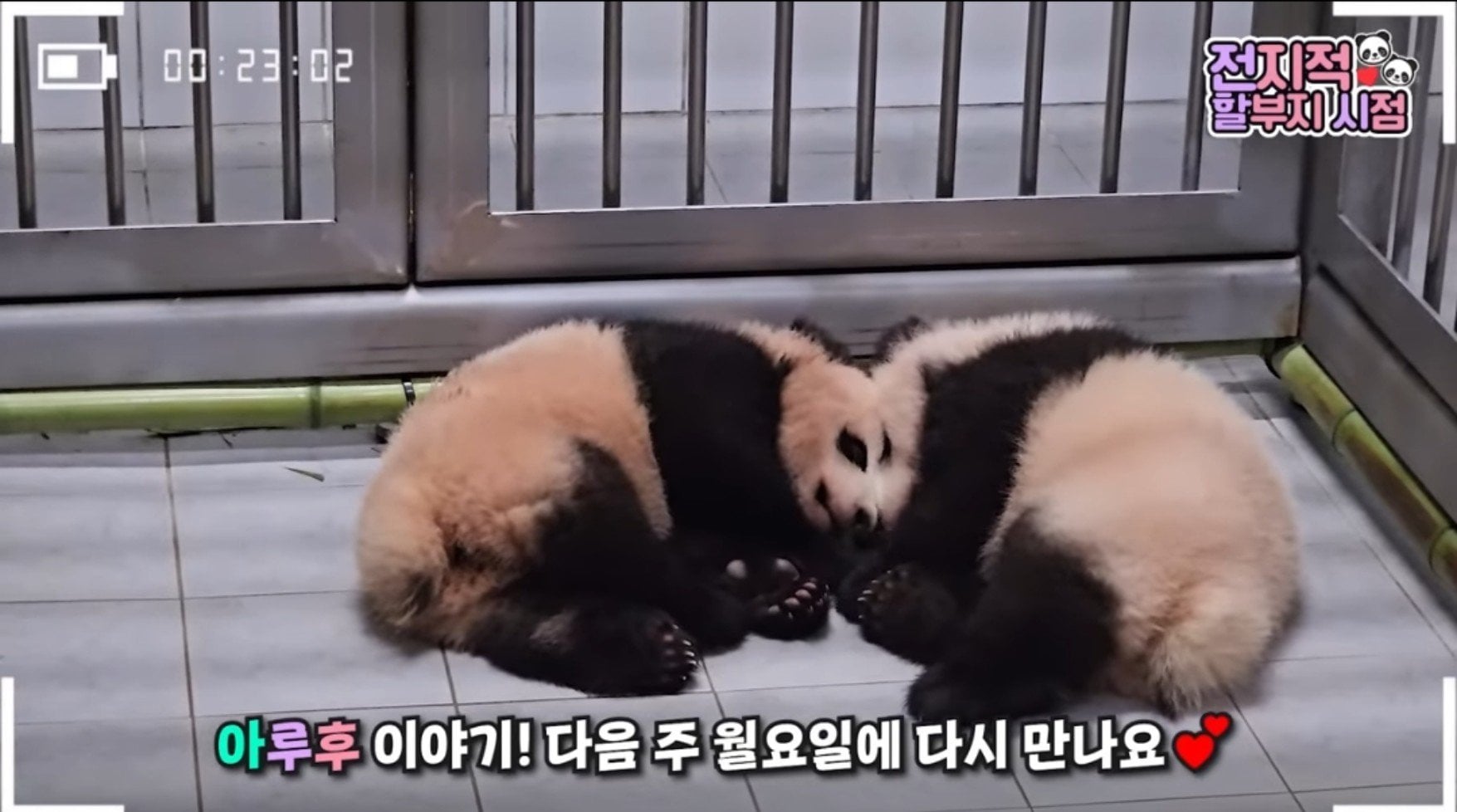 [잡담] 우리나라 비쥬얼 자매 자는 모습 | 인스티즈