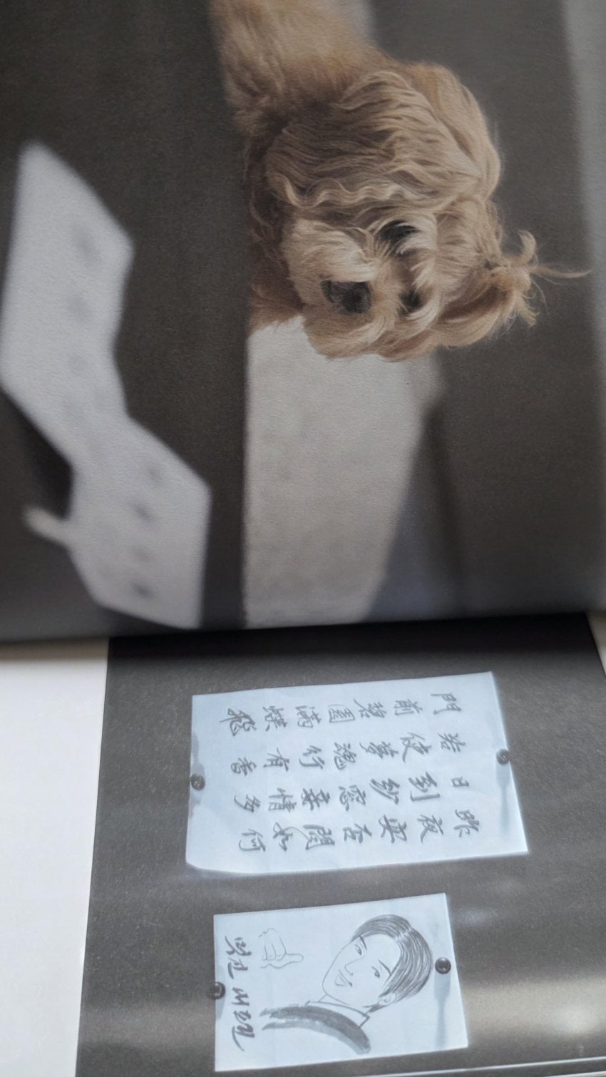 [잡담] 멋진신세계) 대본집 퀄리티 뭐임 양장 퀄도 좋고 내지도 두껍고 사진도 있대 | 인스티즈