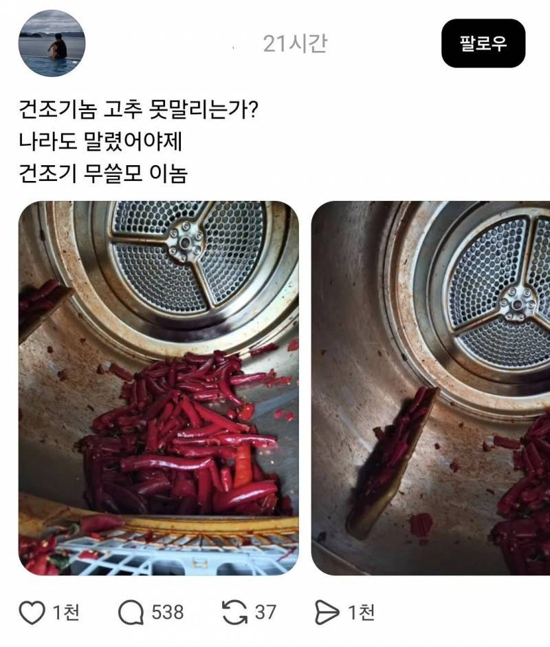 [잡담] 조금 부족한 애들아 스스로 경지라 멋대로 판단하지마 | 인스티즈