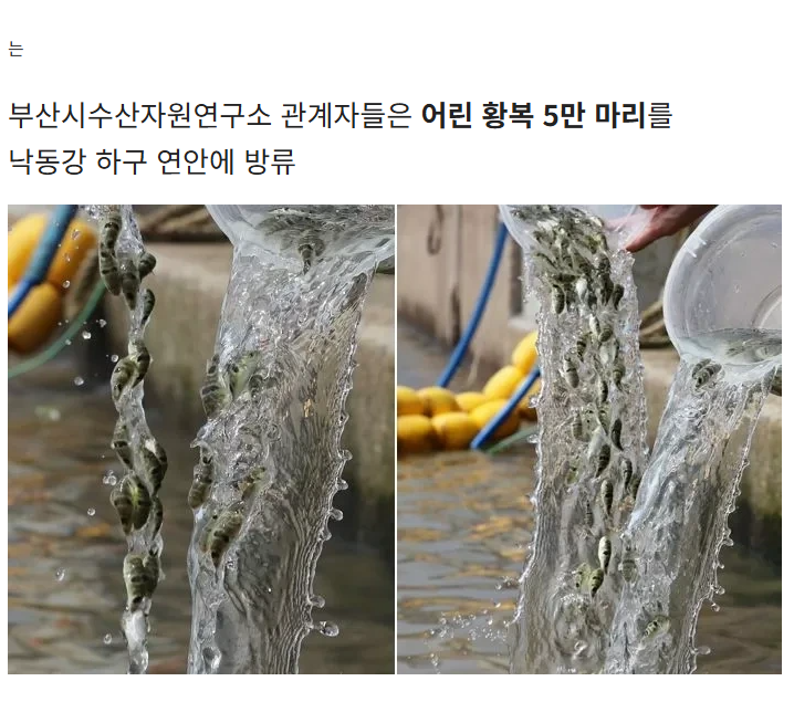 ??? : 누가 탁구공을 물에 엄청 버리고 있어요 | 인스티즈