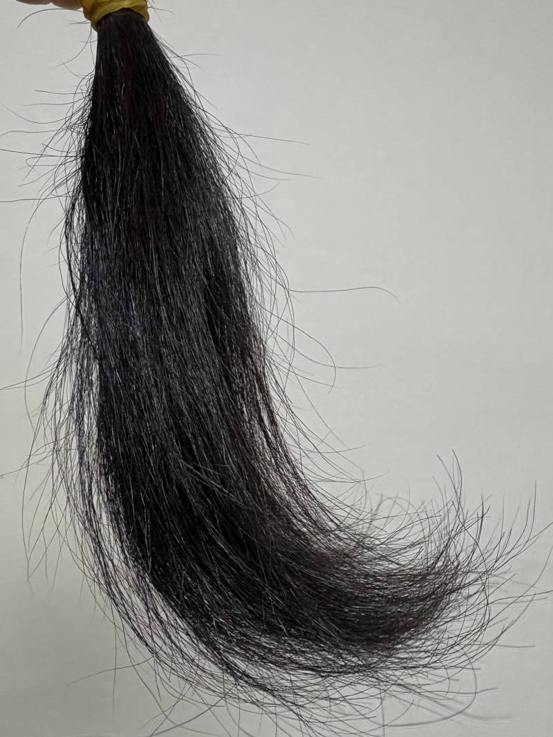 [잡담] 머리카락 이정도는 기부 안되겠지ㅋㅋㅋㅋ | 인스티즈