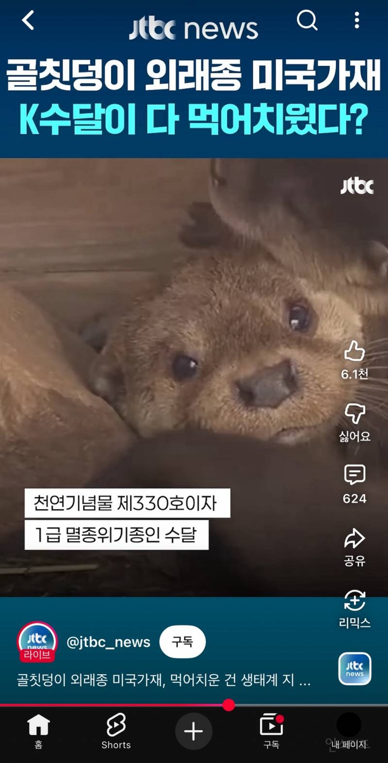 생태계 교란종인 미국가재 씨가 말라가는 중 | 인스티즈