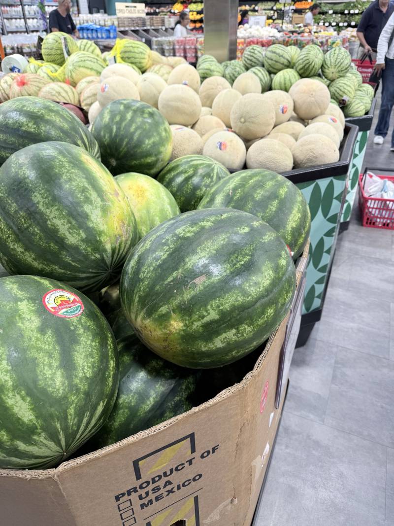 [잡담] 나 살면서 젤큰수박 봤어 🥵 | 인스티즈