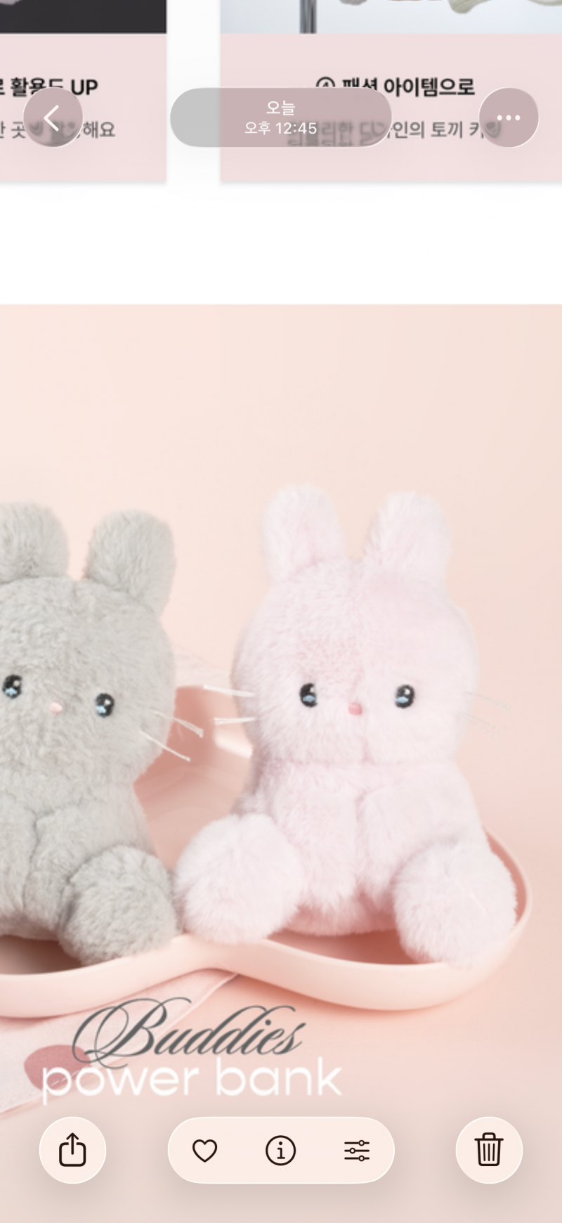 [잡담] 누나들 뭐가 더 귀여운가요 투표해줘잉 | 인스티즈