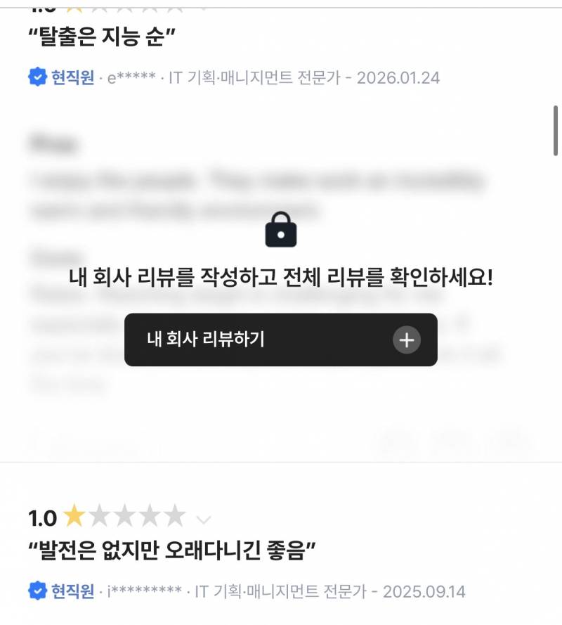 [잡담] 블라인드를 알아보자 | 인스티즈