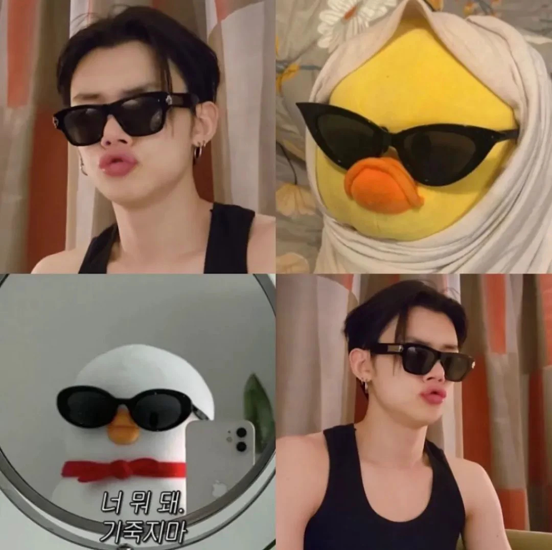 [잡담] 나 핀터에서 이거 줍고 연준 오리 닮았다고 생각했었는데 | 인스티즈