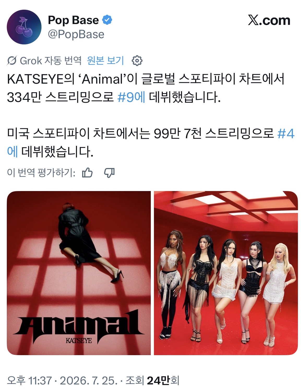 [잡담] 캣츠아이 성적 대박났네 | 인스티즈