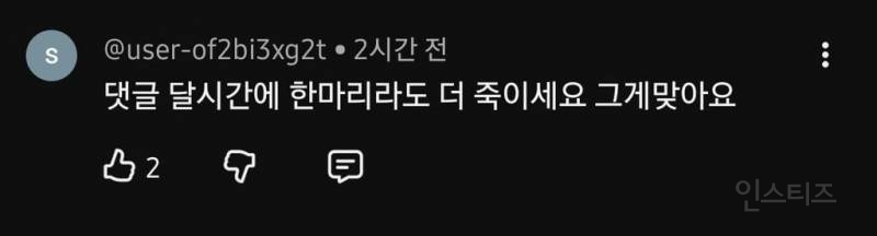 ???: 길고양이 개체수를 줄여야 한다🤬🤬🤬 | 인스티즈