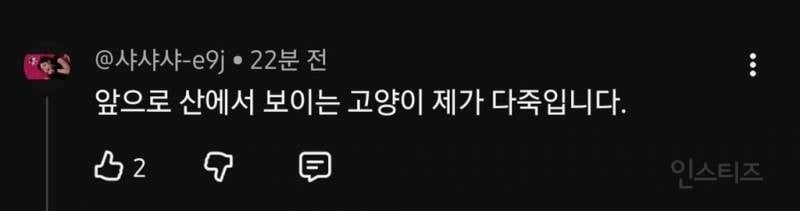 ???: 길고양이 개체수를 줄여야 한다🤬🤬🤬 | 인스티즈