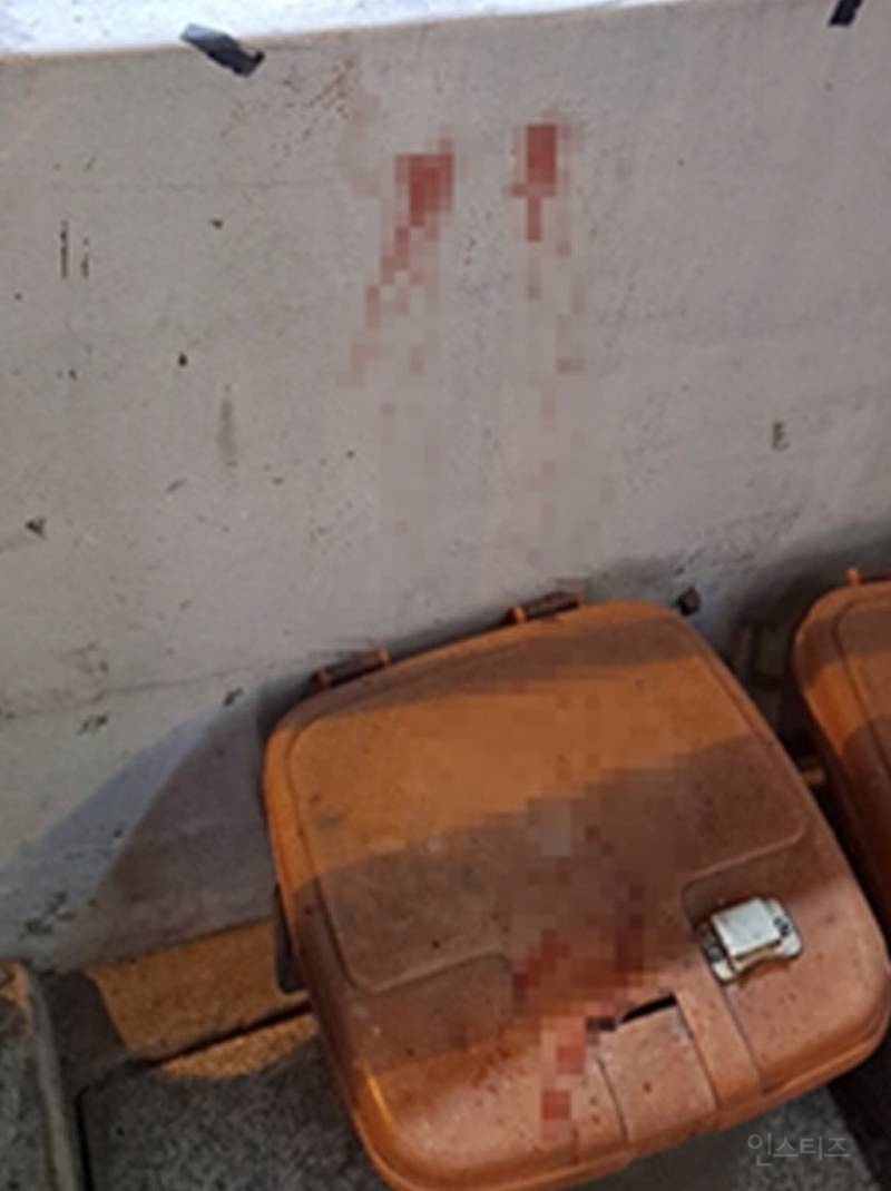 ???: 길고양이 개체수를 줄여야 한다🤬🤬🤬 | 인스티즈