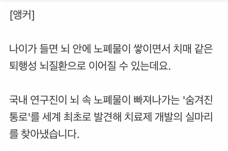 치매 원인 뇌 노폐물 배출 '비밀 통로' 찾았다 | 인스티즈