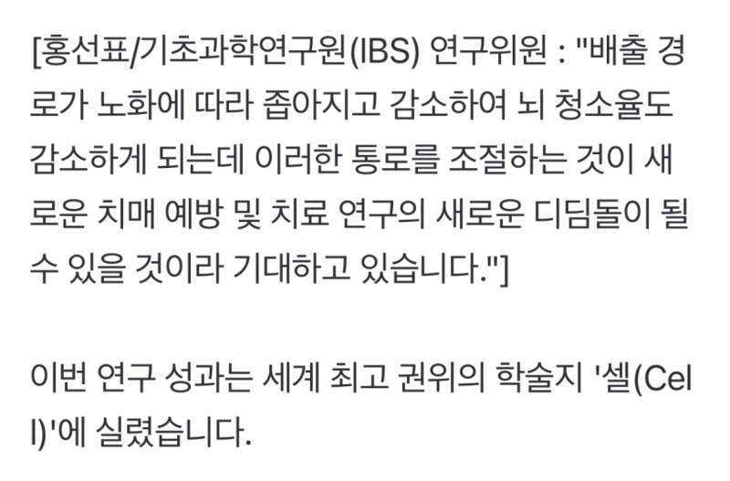 치매 원인 뇌 노폐물 배출 '비밀 통로' 찾았다 | 인스티즈