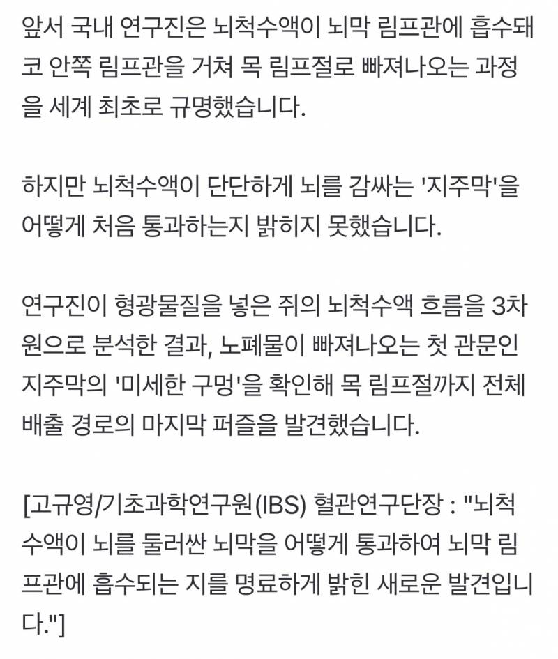 치매 원인 뇌 노폐물 배출 '비밀 통로' 찾았다 | 인스티즈