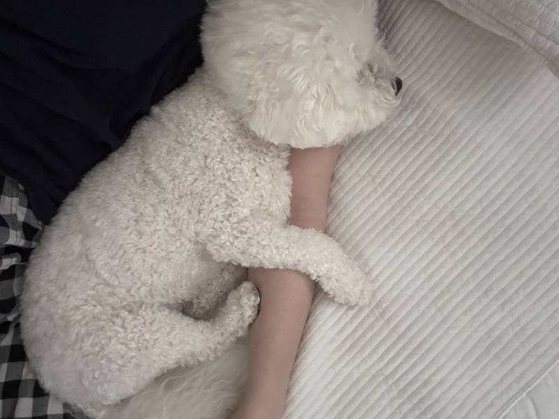 [잡담] 해피타임 | 인스티즈