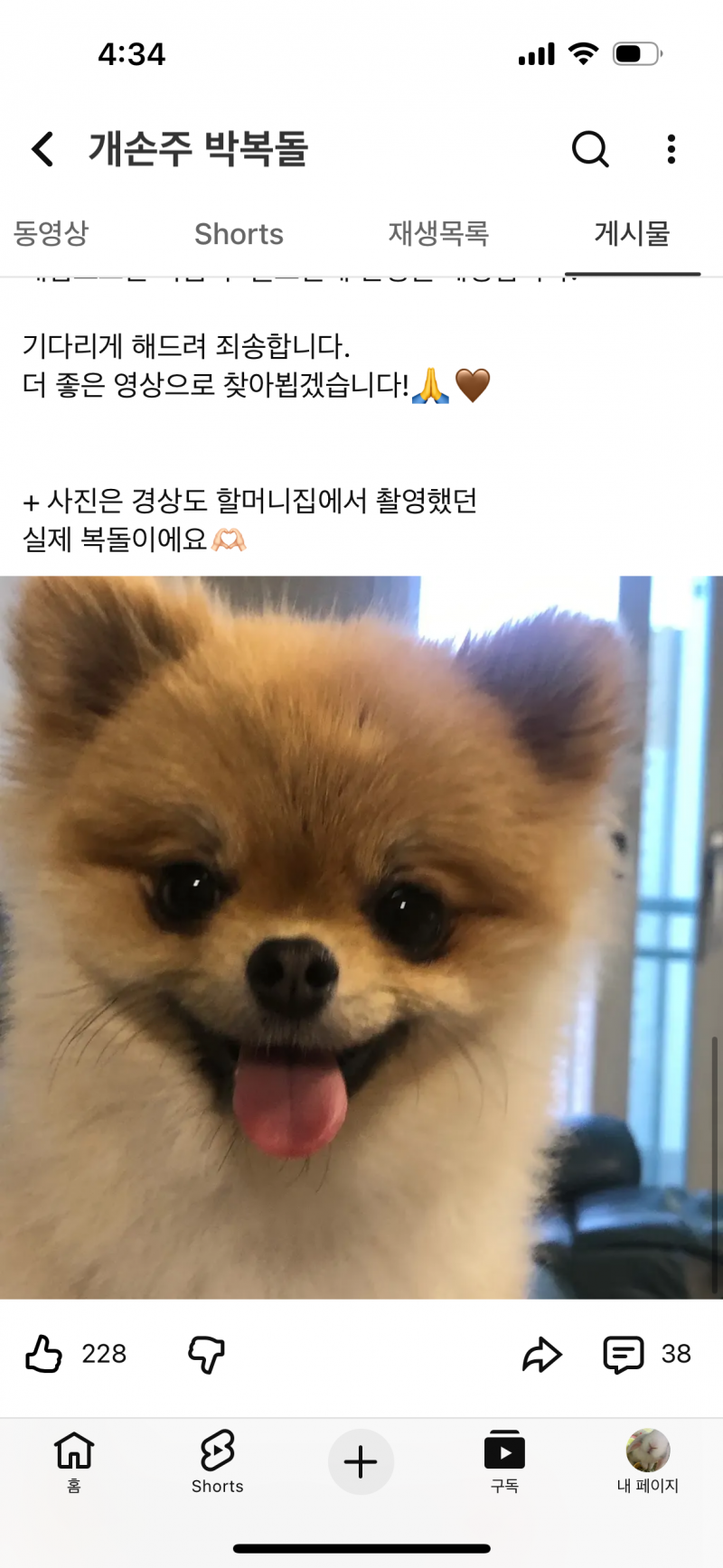 [잡담] 내가 보는 유튜브 ai 강아지 채널이 있는데 | 인스티즈