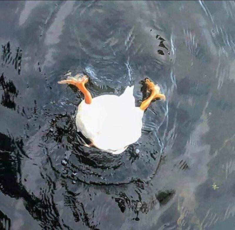 보리갈맥🦅🌺 | 인스티즈