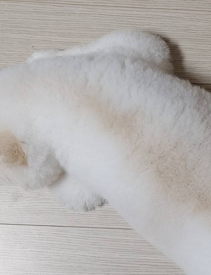 [잡담] 내 몸매 어때 | 인스티즈