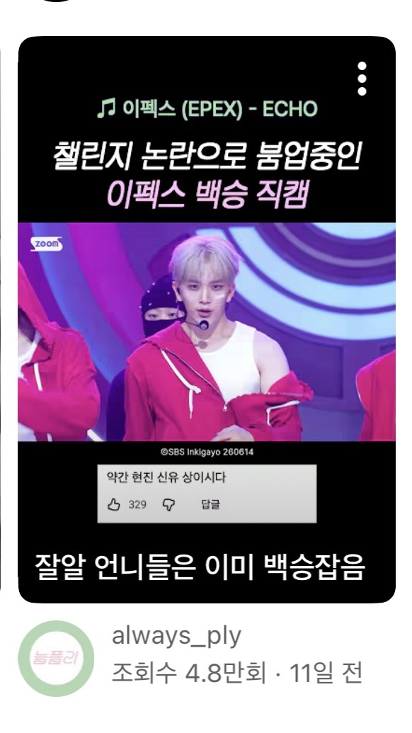 [마플] 궁금해서 검색해보고 왔는데 | 인스티즈