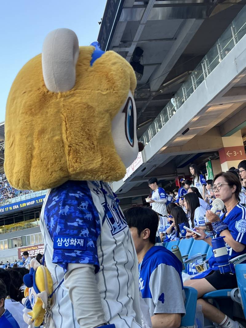 8/2 사직💙 | 인스티즈