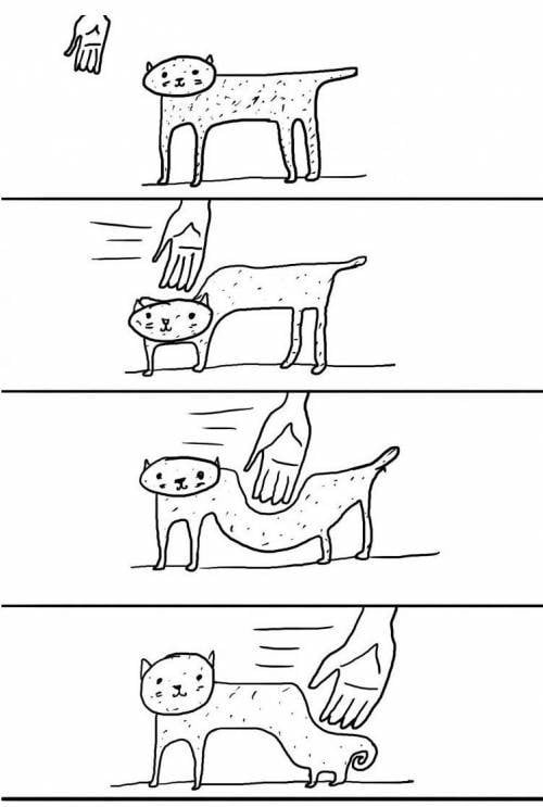 [잡담] 고양이 이거 진짜더라 | 인스티즈