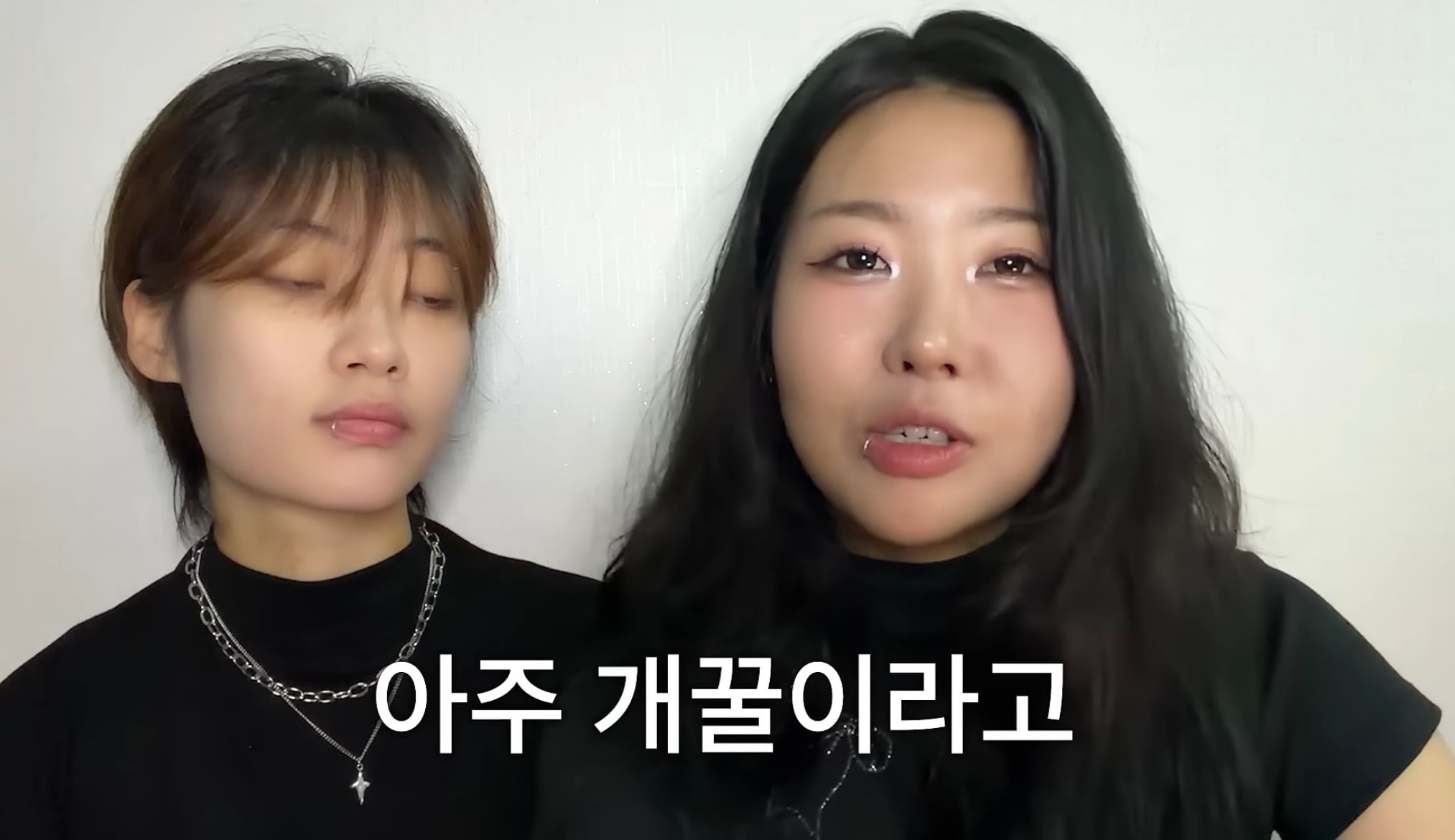 현재 댓글 반응 난리난(n) 유튜버 곽혈수 레즈비언 유튜브 | 인스티즈