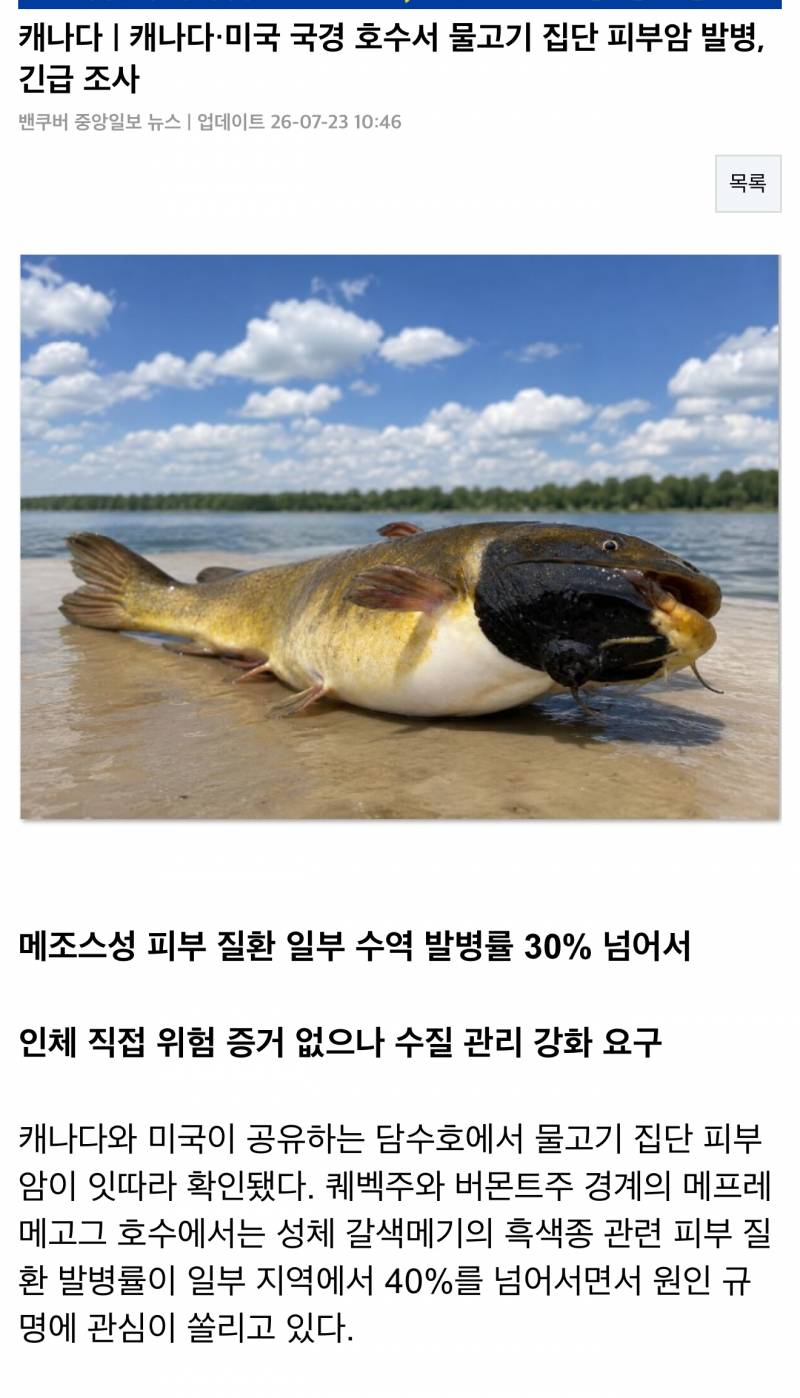 [잡담] 캐나다·미국 국경 호수서 물고기 집단 피부암 발병, 긴급 조사 | 인스티즈