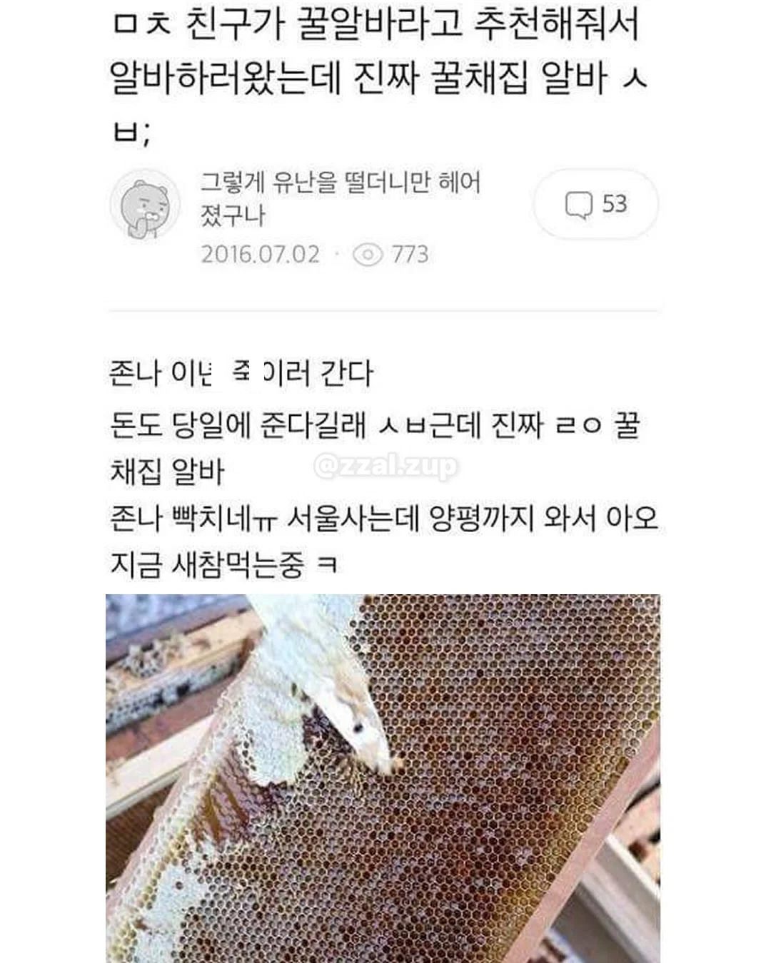 아 개 두마리키우는데 지금 퇴근하고 오니까 내방 | 인스티즈