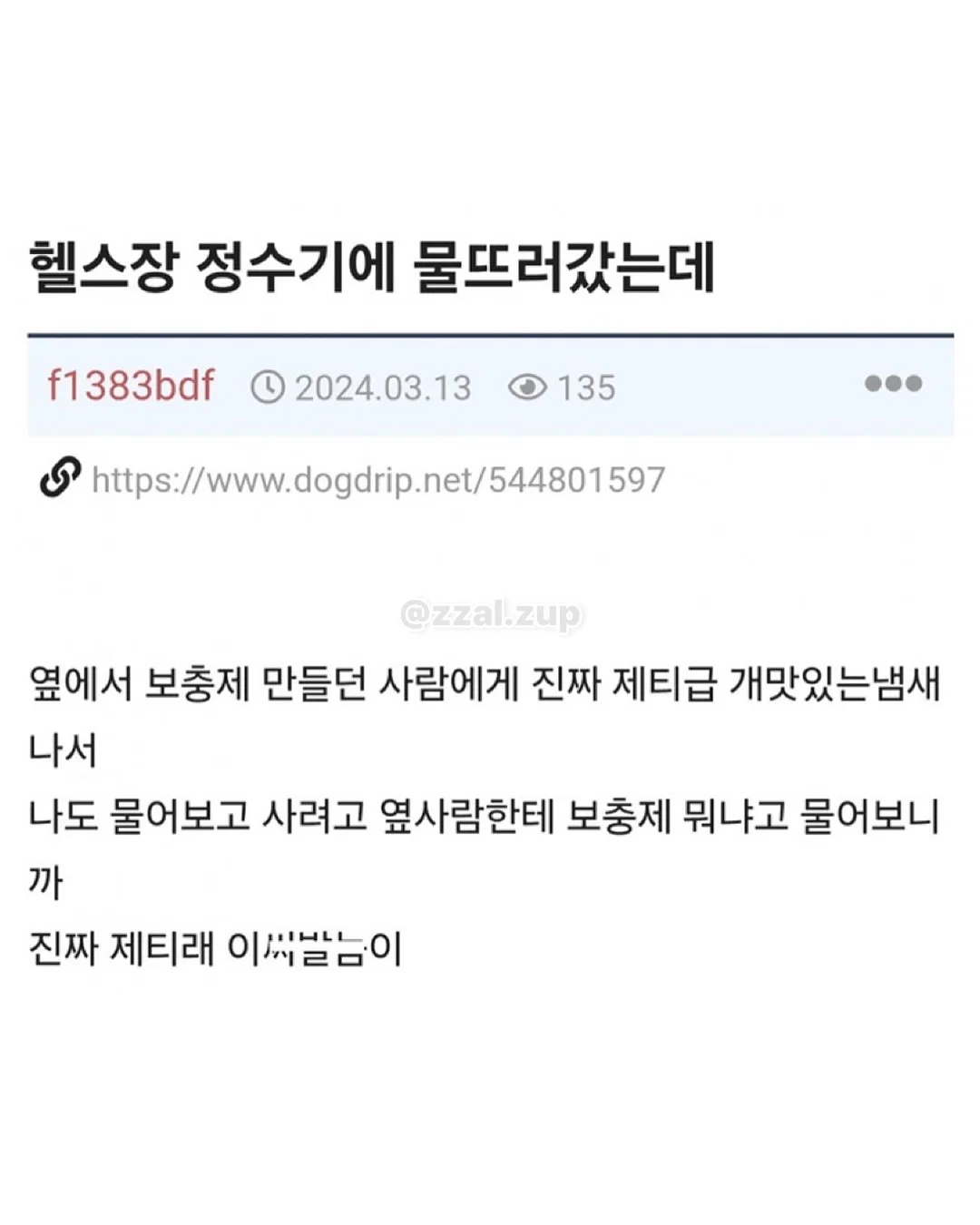 아 개 두마리키우는데 지금 퇴근하고 오니까 내방 | 인스티즈