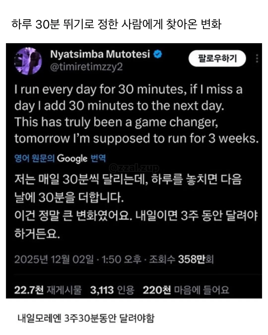아 개 두마리키우는데 지금 퇴근하고 오니까 내방 | 인스티즈