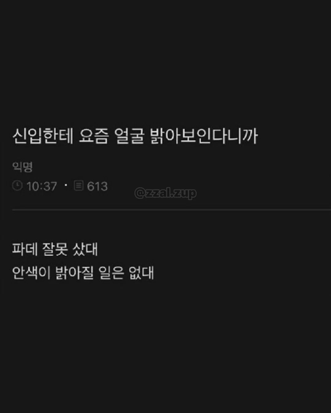 아 개 두마리키우는데 지금 퇴근하고 오니까 내방 | 인스티즈