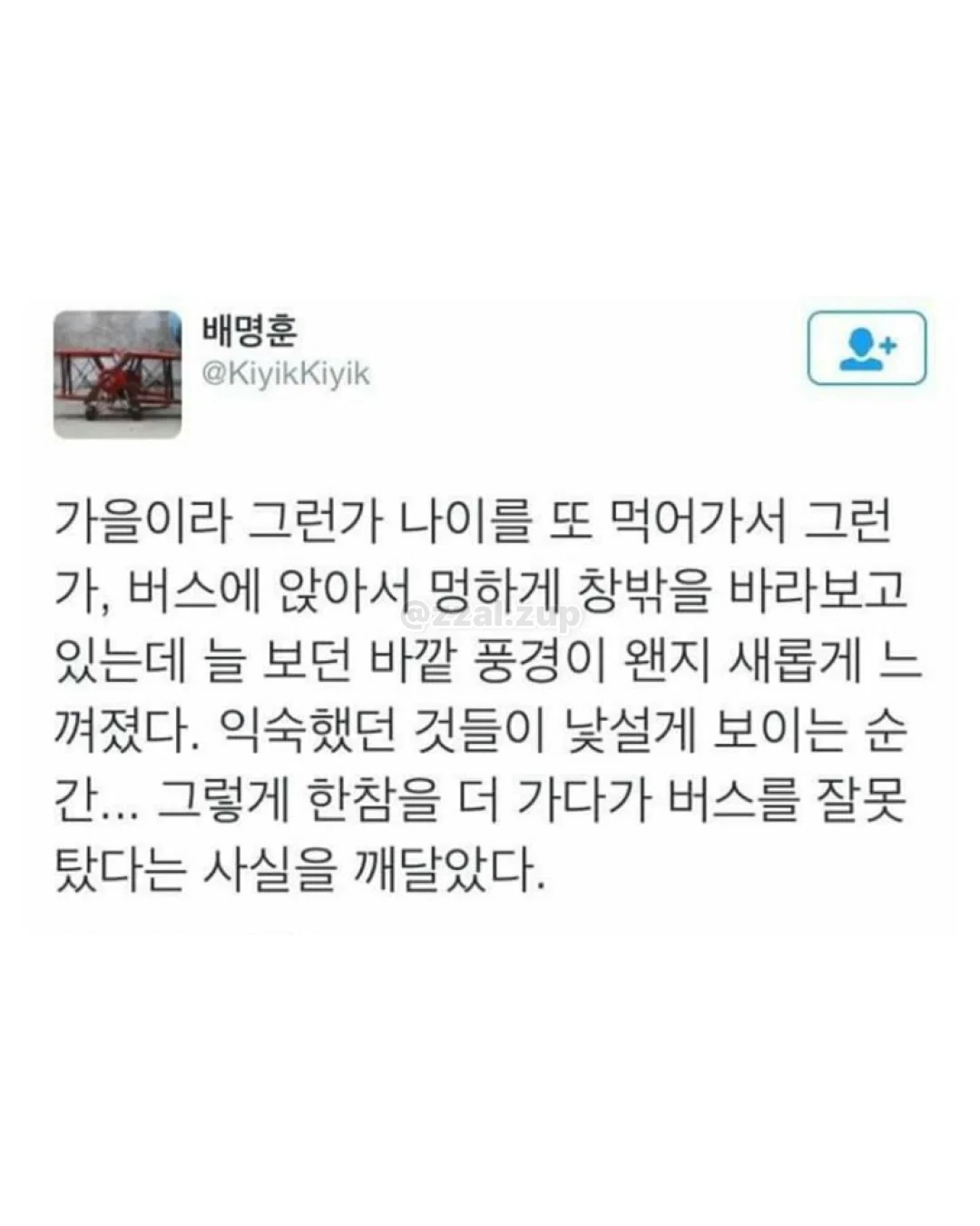 아 개 두마리키우는데 지금 퇴근하고 오니까 내방 | 인스티즈