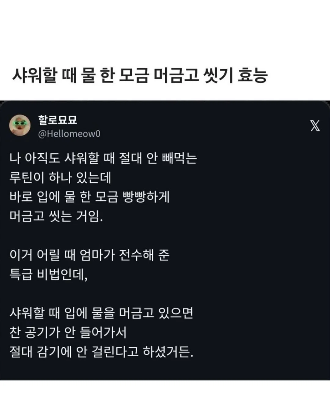 아 개 두마리키우는데 지금 퇴근하고 오니까 내방 | 인스티즈