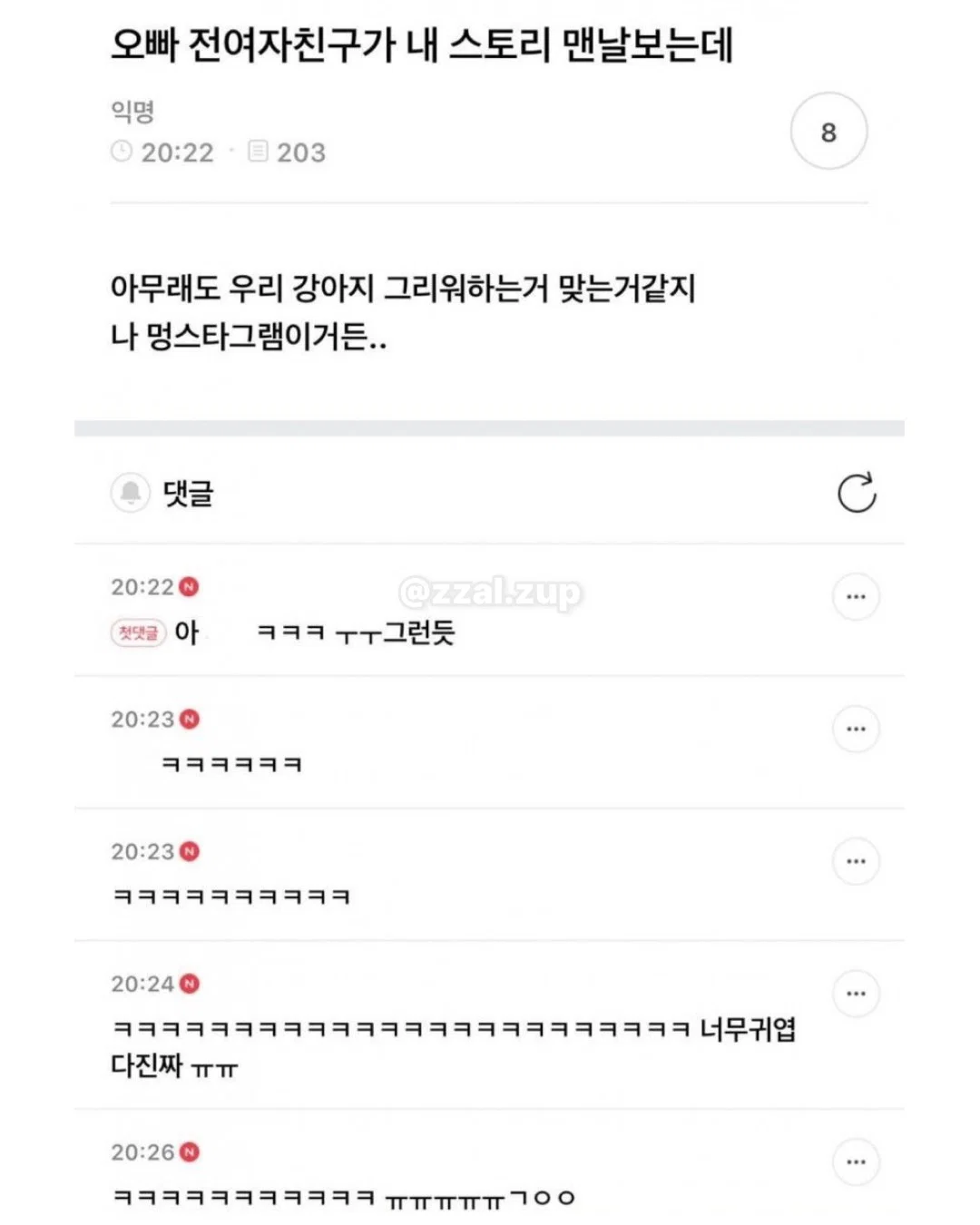 아 개 두마리키우는데 지금 퇴근하고 오니까 내방 | 인스티즈