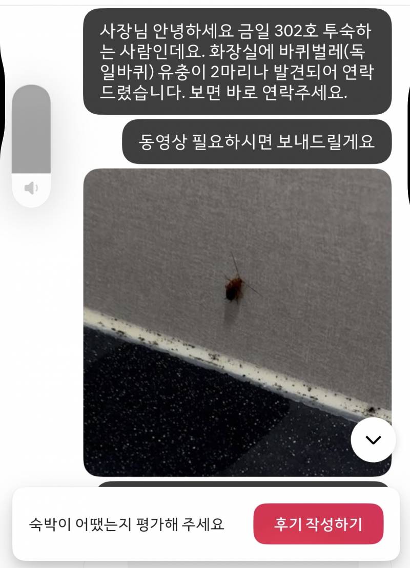 [잡담] 에어비앤비 이용 했는데 호스트 되게 깐깐함 but 바퀴벌레 (내용 김 ..) | 인스티즈