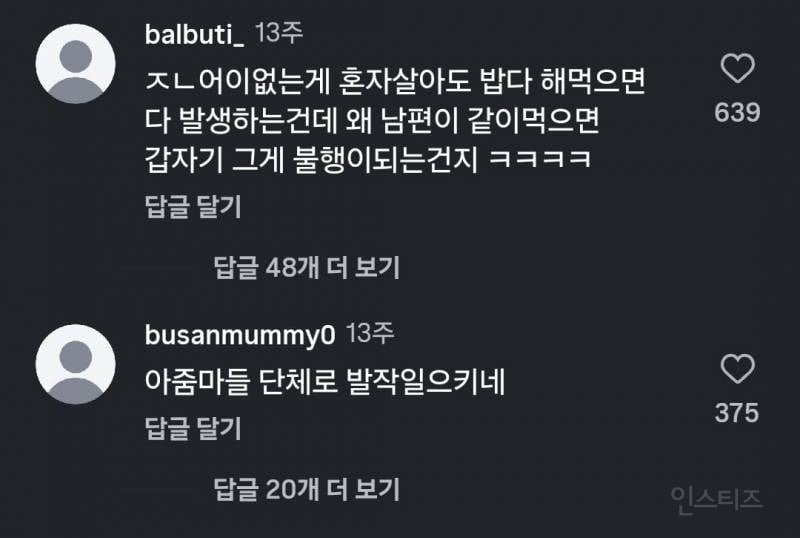 26살 주부 남편 밥차리는데 악플 | 인스티즈
