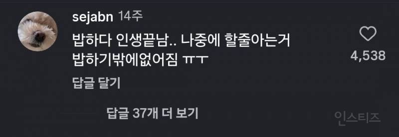 26살 주부 남편 밥차리는데 악플 | 인스티즈