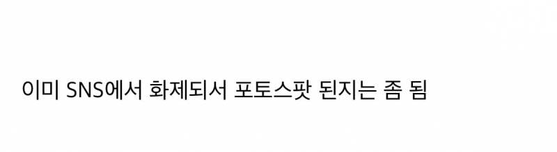 현재 미감 반응 𝙅𝙊𝙉𝙉𝘼 갈리는 하트나무길..JPG | 인스티즈