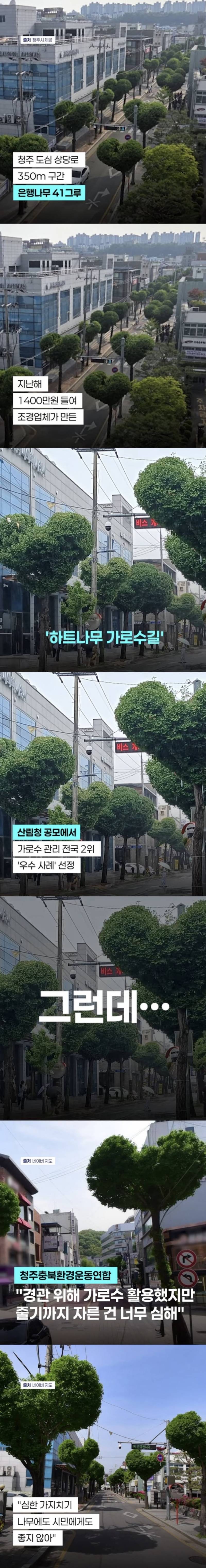 현재 미감 반응 𝙅𝙊𝙉𝙉𝘼 갈리는 하트나무길..JPG | 인스티즈