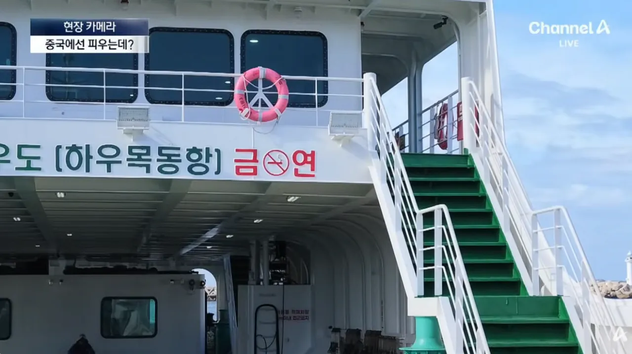 중국인 관광객들 때문에 스트레스라는 제주도 우도 | 인스티즈
