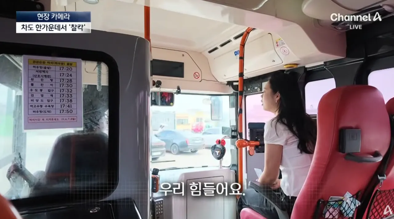 중국인 관광객들 때문에 스트레스라는 제주도 우도 | 인스티즈