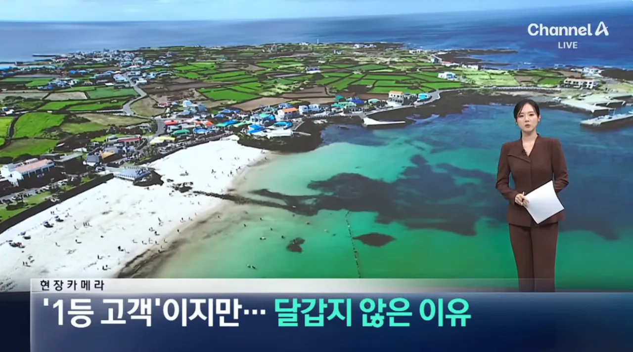 중국인 관광객들 때문에 스트레스라는 제주도 우도 | 인스티즈